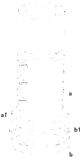 Assembler for lock cylinder and lock cylinder surface cover of automobile