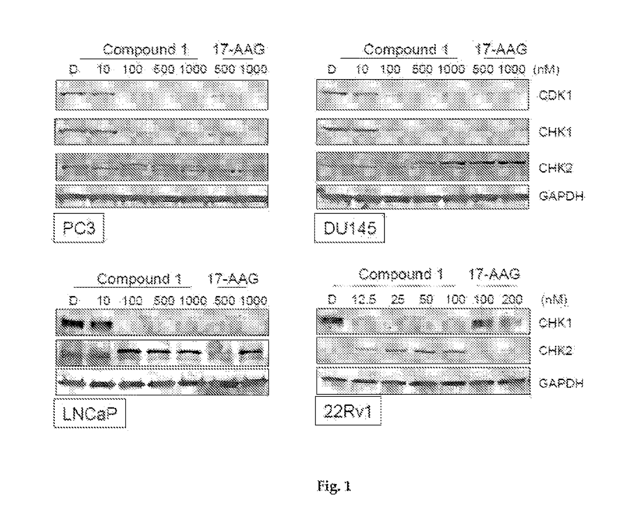 Combination therapy of hsp90 inhibitory compounds with CHK inhibitors