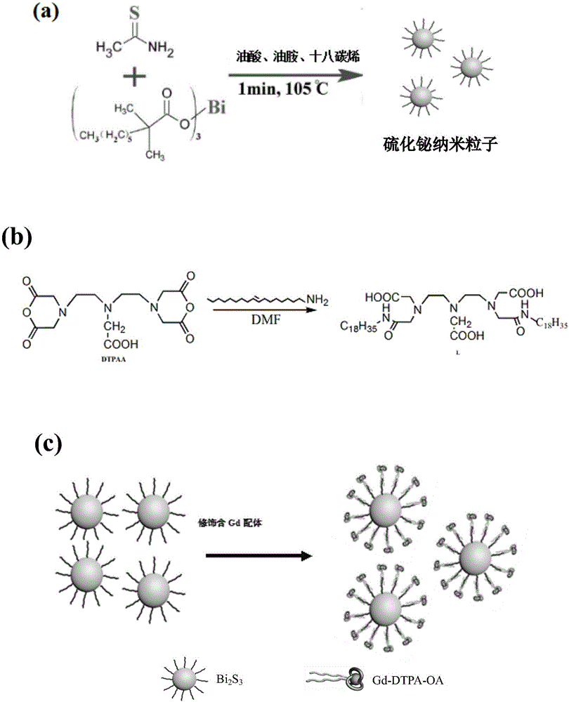 Preparation method of gadolinium-modified bismuth sulfide nanometer diagnosing agent