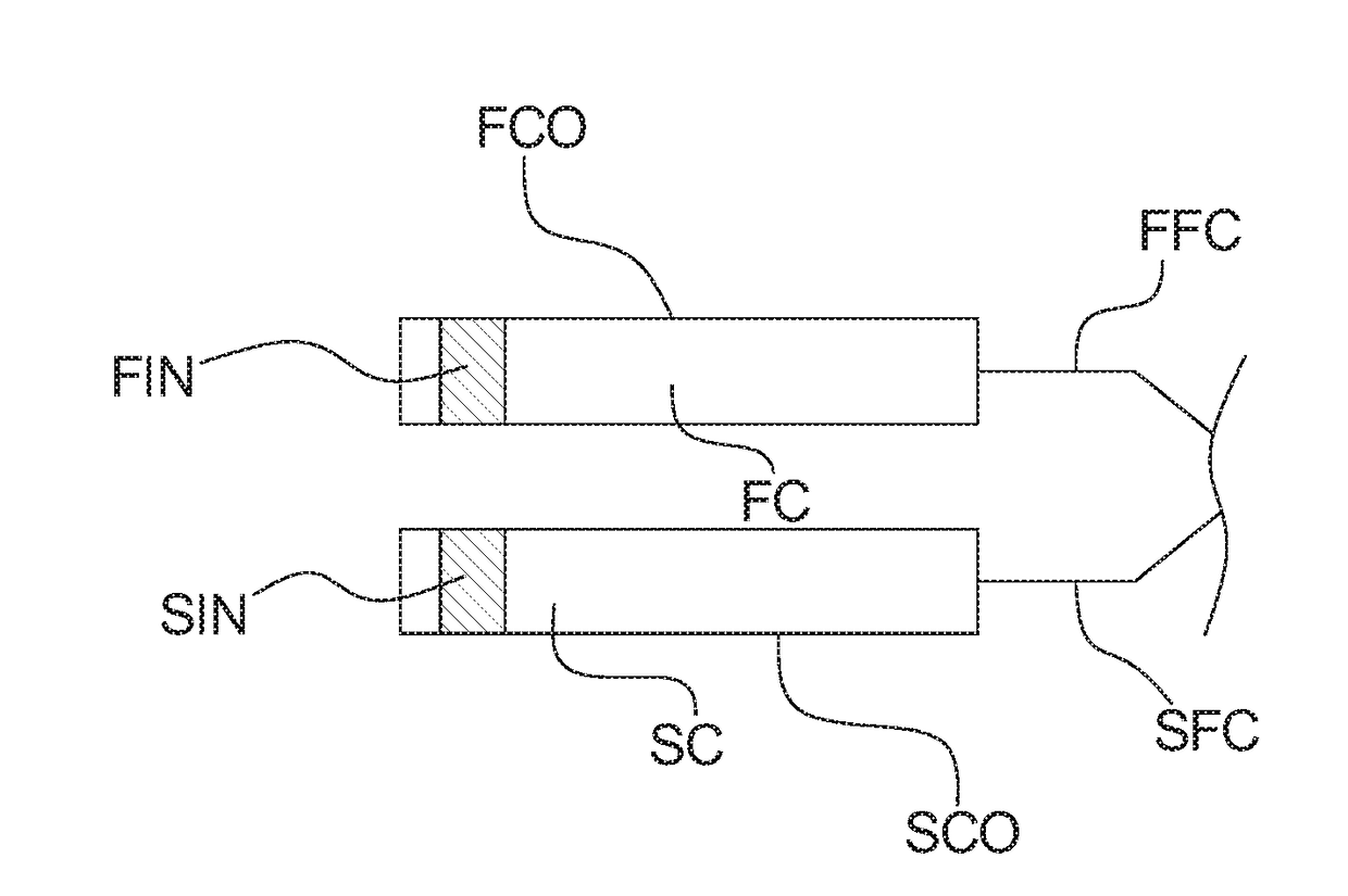Oral delivery system comprising two compartments