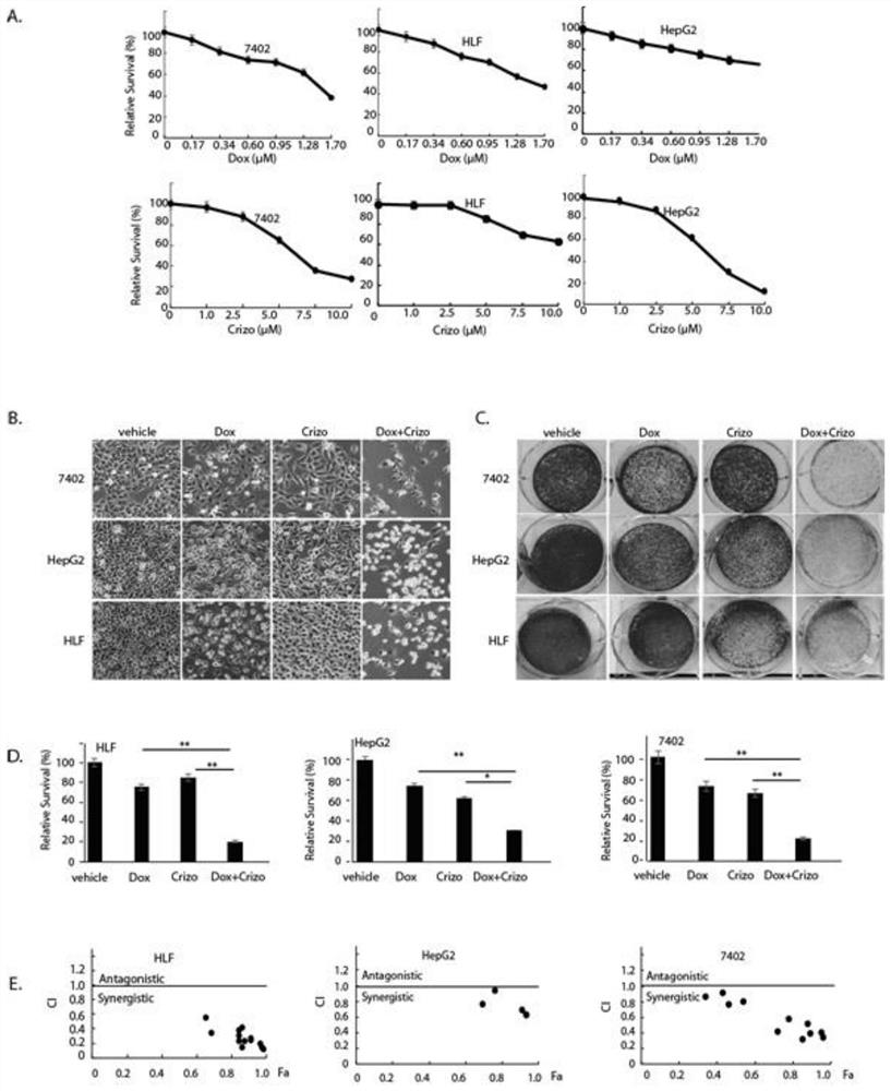 Composition for treating liver cancer and application thereof