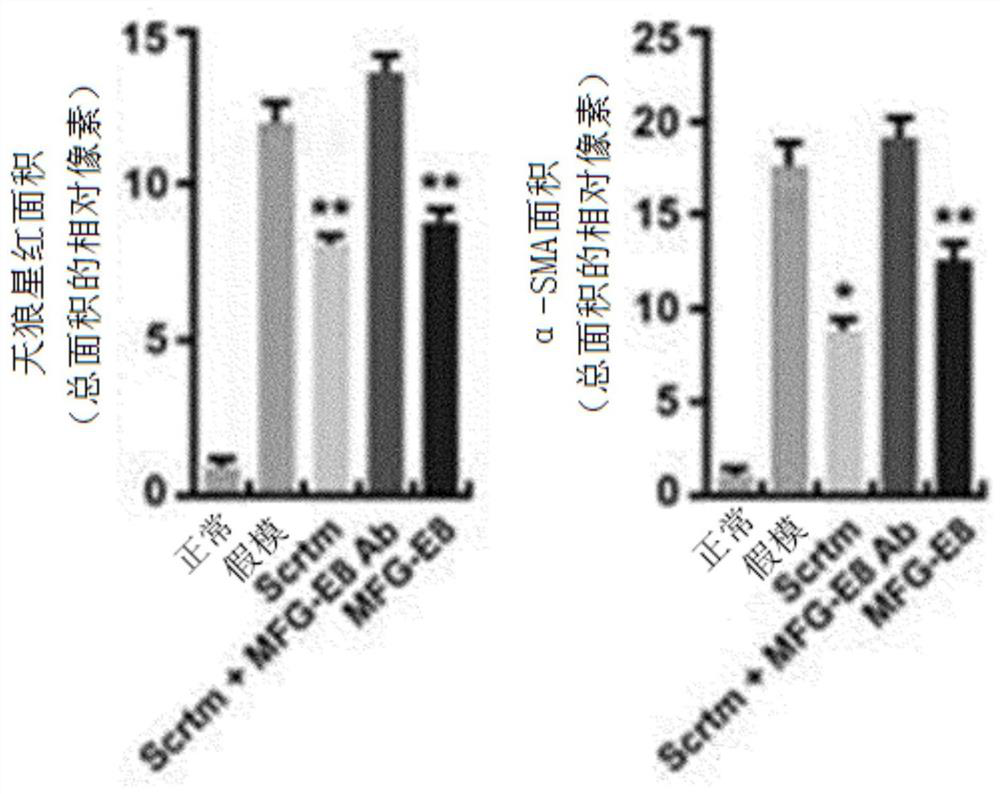 Composition for preventing or treating tissue fibrosis using mfg-e8