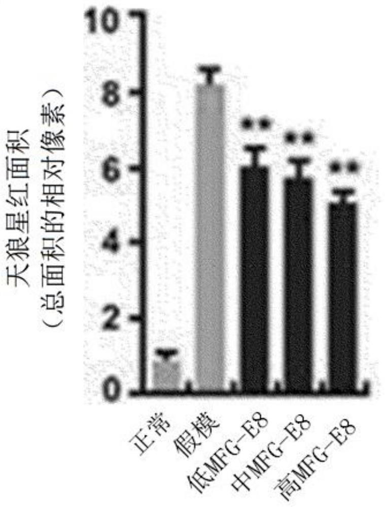 Composition for preventing or treating tissue fibrosis using mfg-e8