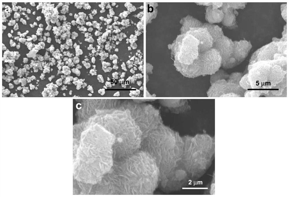 Preparation method of tungsten oxide/carbon flower-ball-shaped lithium battery composite negative electrode material