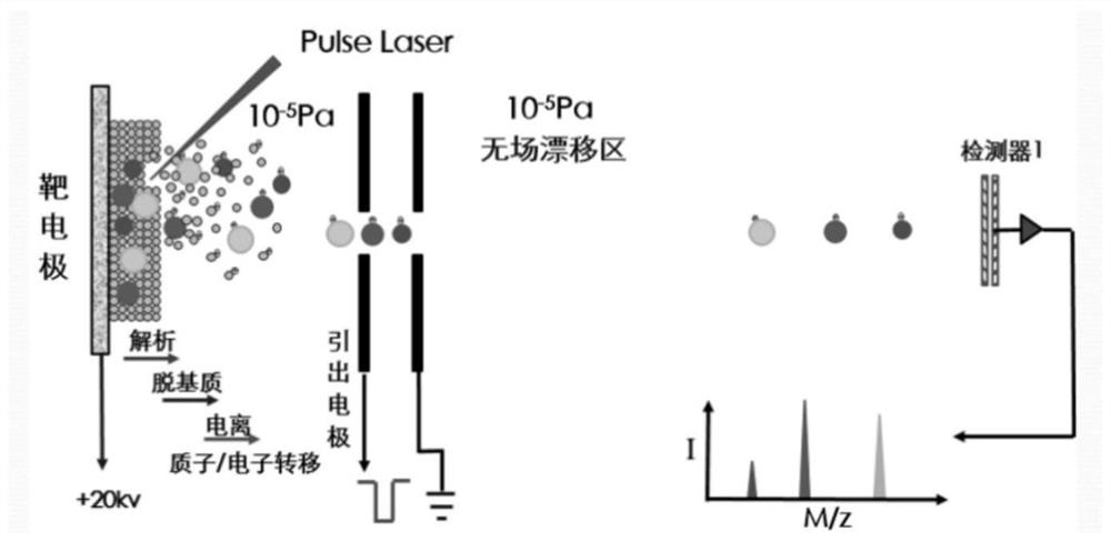 Processing and analyzing system and method of mass spectrum device