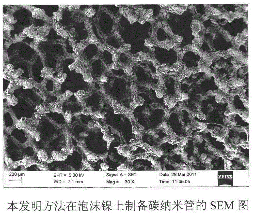 Preparation method of carbon nanotube by growing on foamed nickel substrate