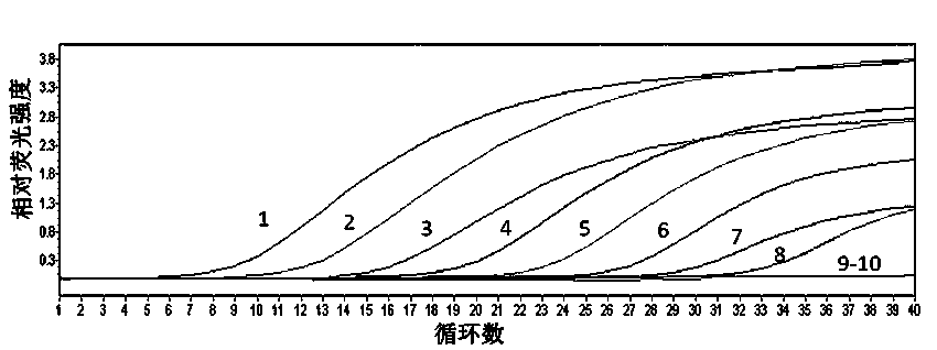 Qualitative and quantitative detection method for Xinjiang isolates of apricot chlorotic leaf roll (ACLR) phytoplasma