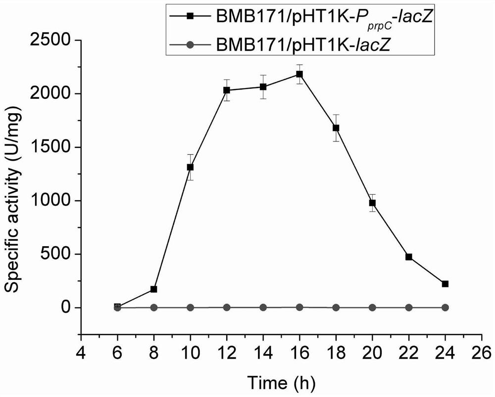 A kind of 2-methyl citrate high-yielding genetically engineered bacteria and its construction method