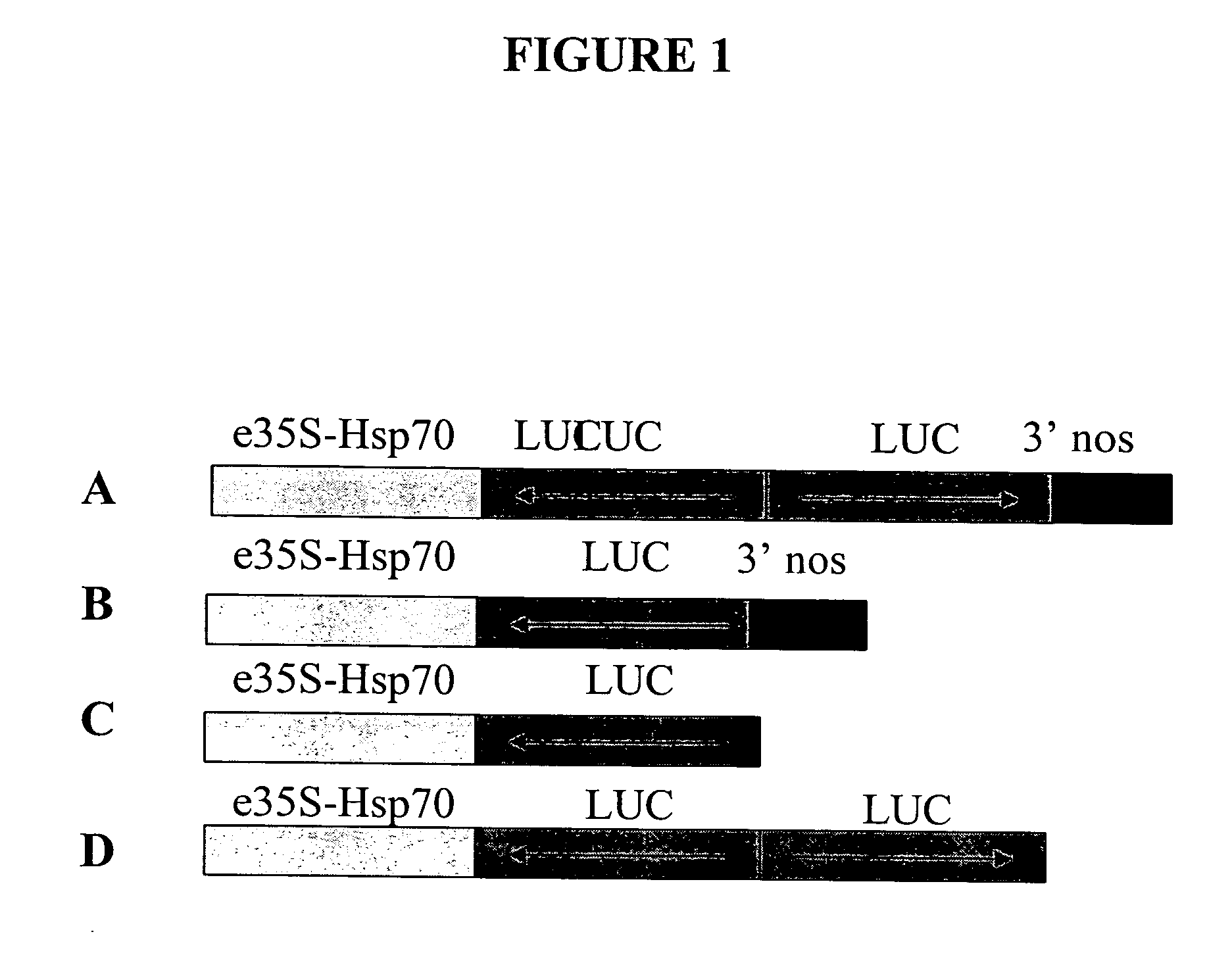 Recombinant DNA constructs and methods for controlling gene expression