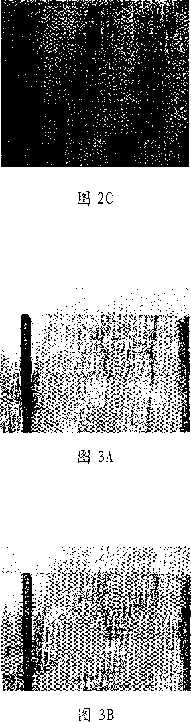 Functional uv paint, construction material using the same, and method of preparing the paint