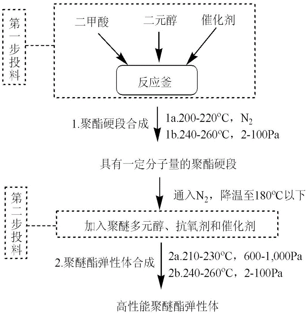 Two-step feeding synthesis method of high-performance polyetherester elastomer