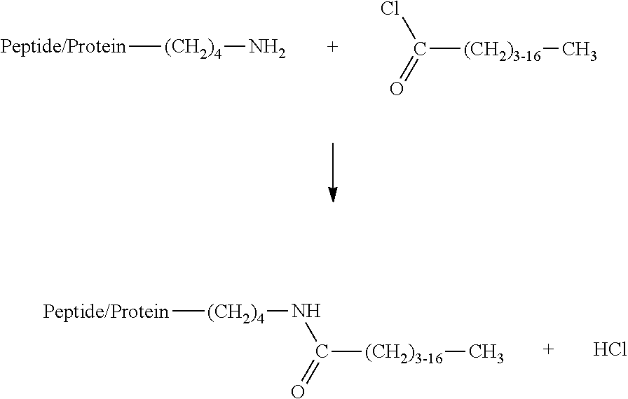 Hydrophobized protein hydrolysate