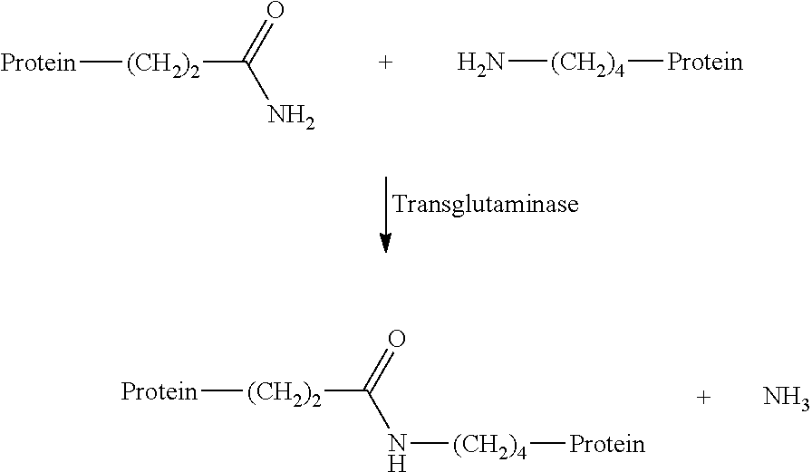 Hydrophobized protein hydrolysate