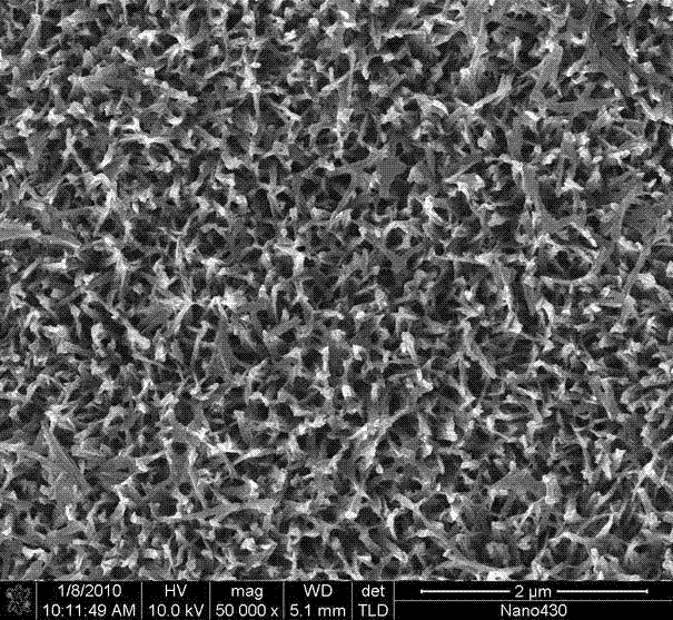 Preparation method of self-assembly silanization of pure titanium metal surface