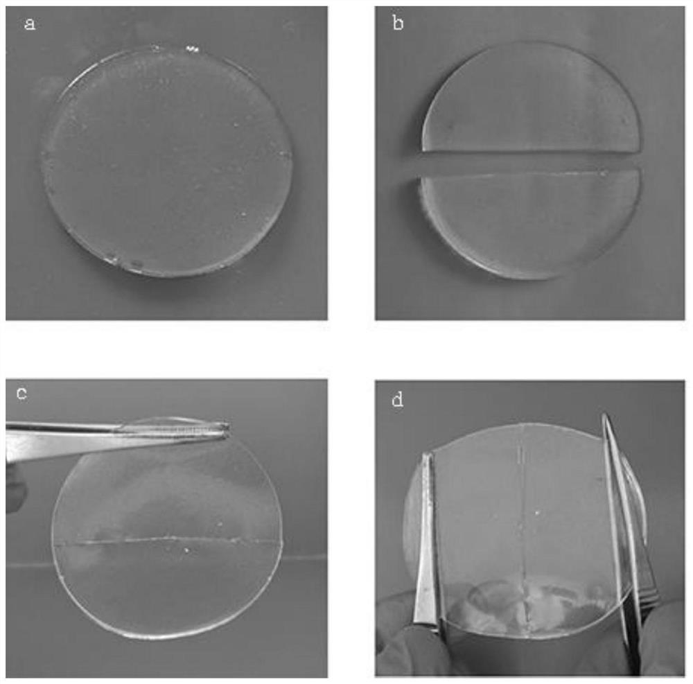 Polymerizable deep eutectic solvent for self-healing material, conductive elastomer and preparation method