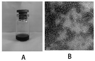 Albumin-binding indocyanine green anti-tumor photo-thermal preparation and preparation method thereof