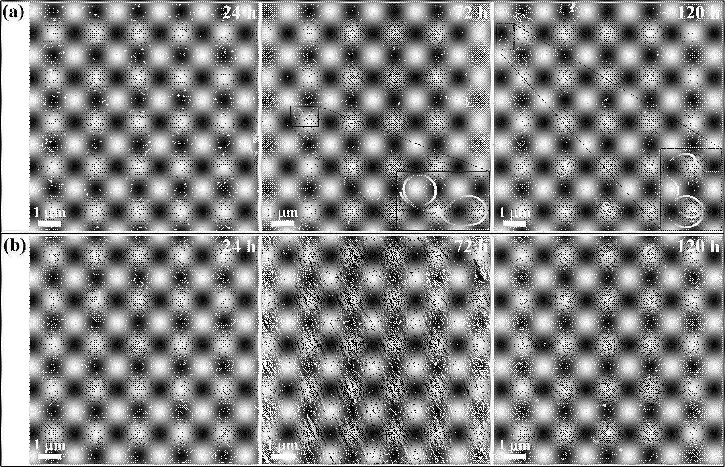 Method for preparing membrane materials through biomolecular self assembly under the condition of cold plasma