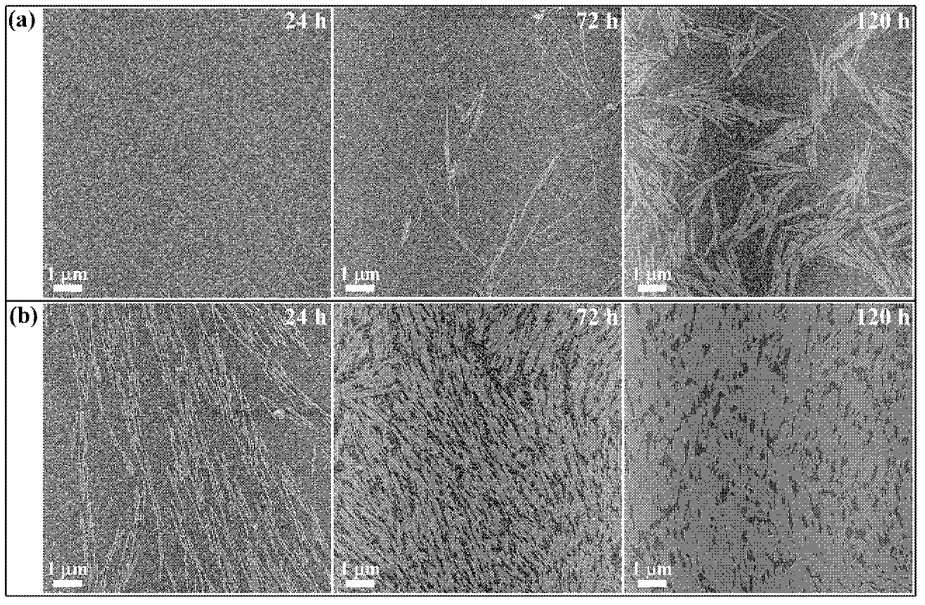 Method for preparing membrane materials through biomolecular self assembly under the condition of cold plasma