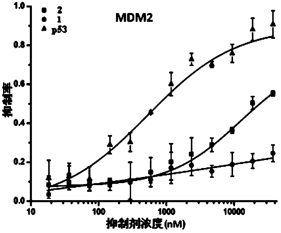 Mini protein and its application