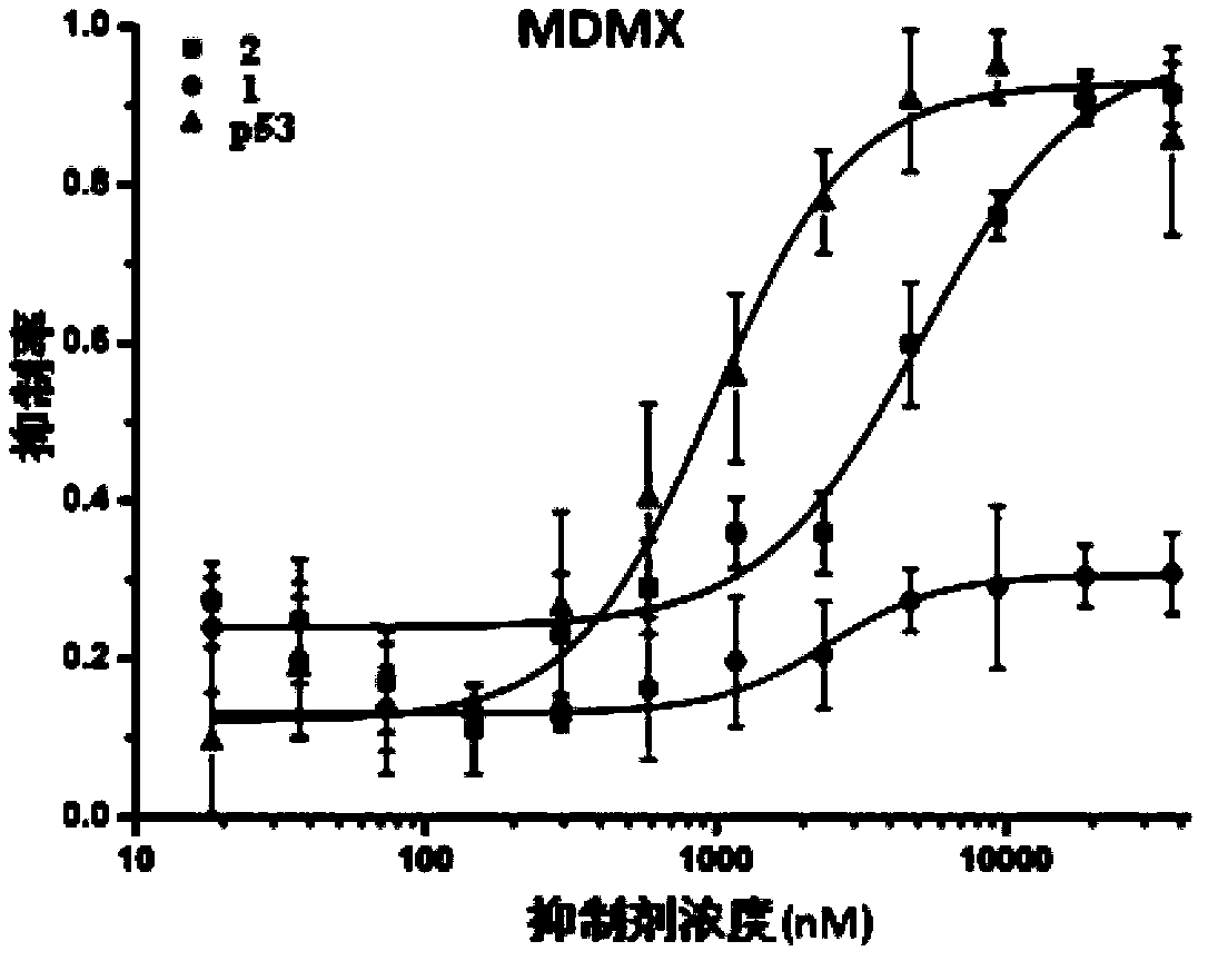 Mini protein and its application