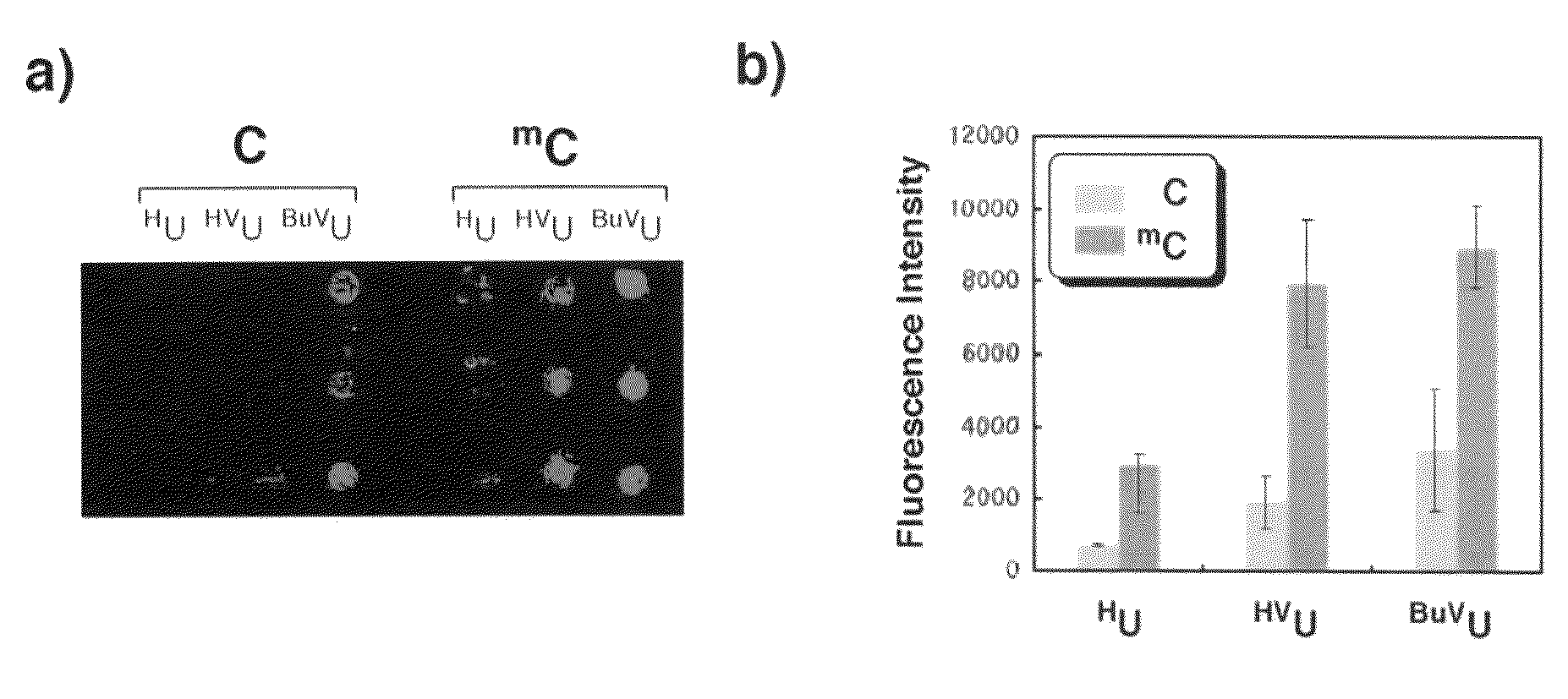 Method for detection of methylcytosine using photoresponsive probe