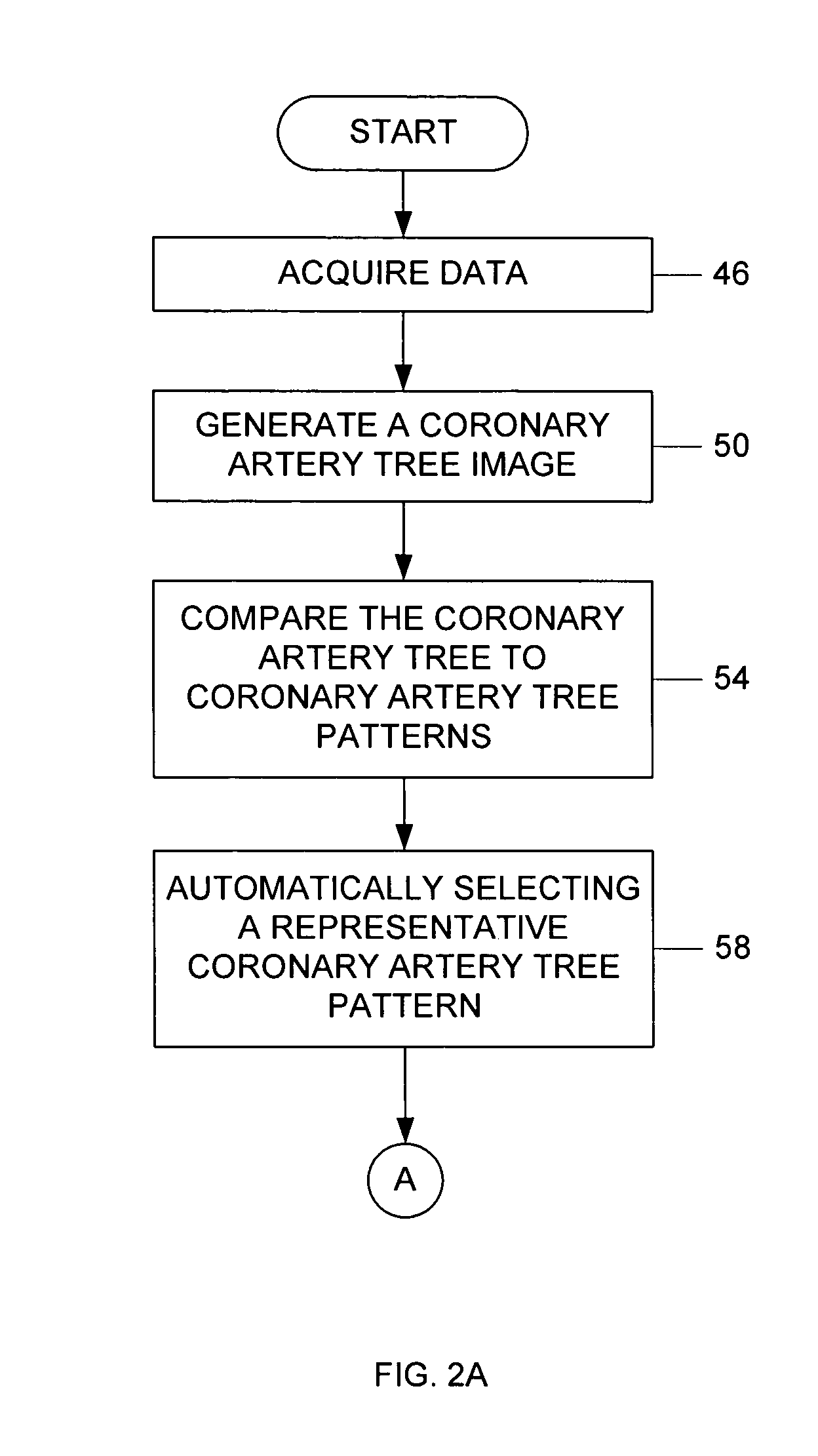 Coronary artery tree imaging system and method