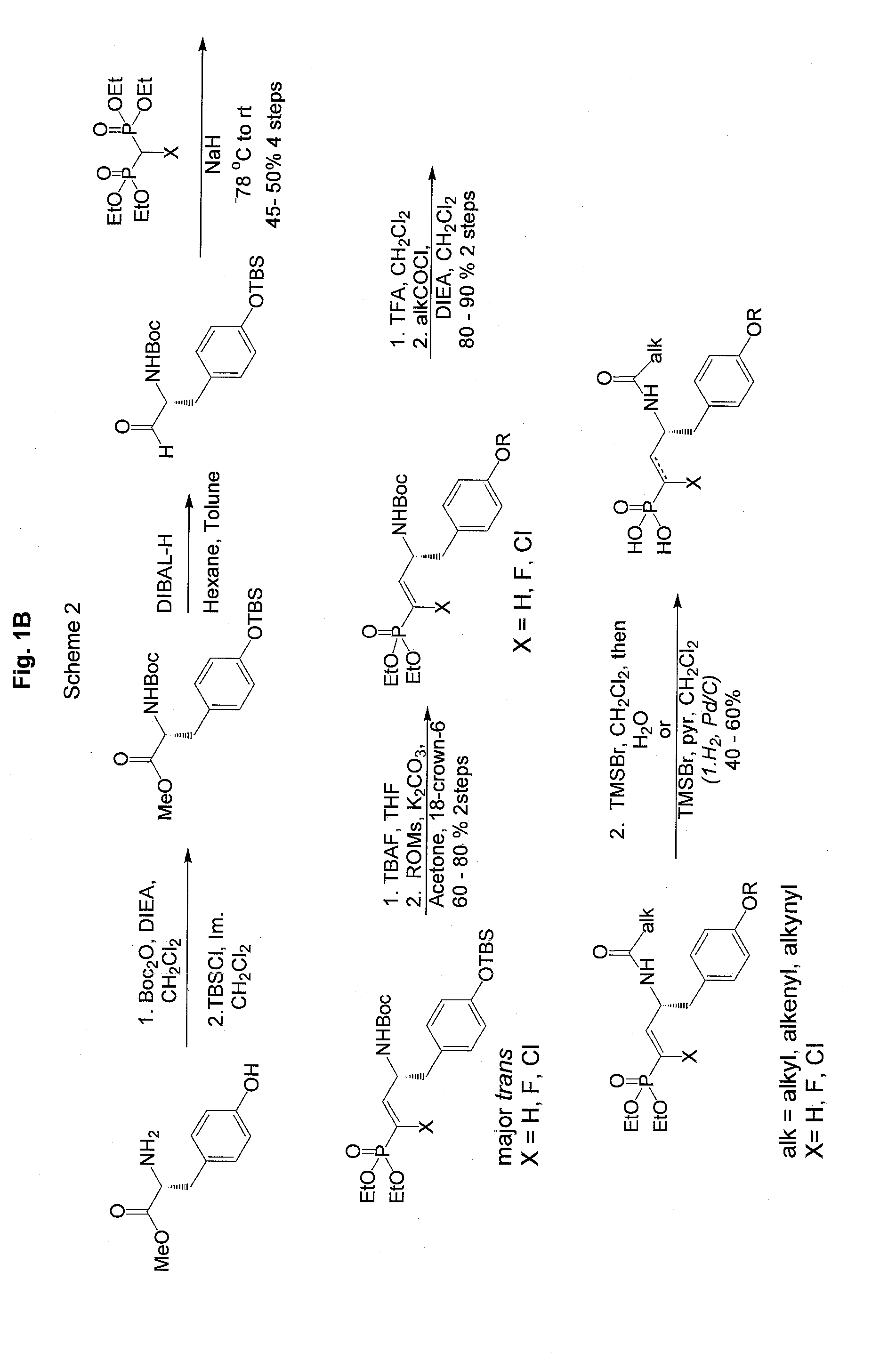 Vinyl phosphonate lysophosphatidic acid receptor antagonists