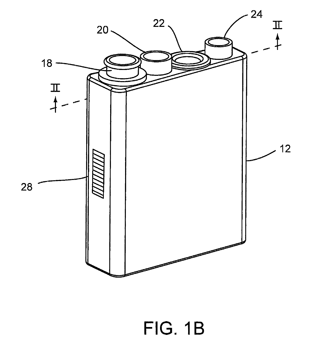 System for conducting the identification of bacteria in biological samples
