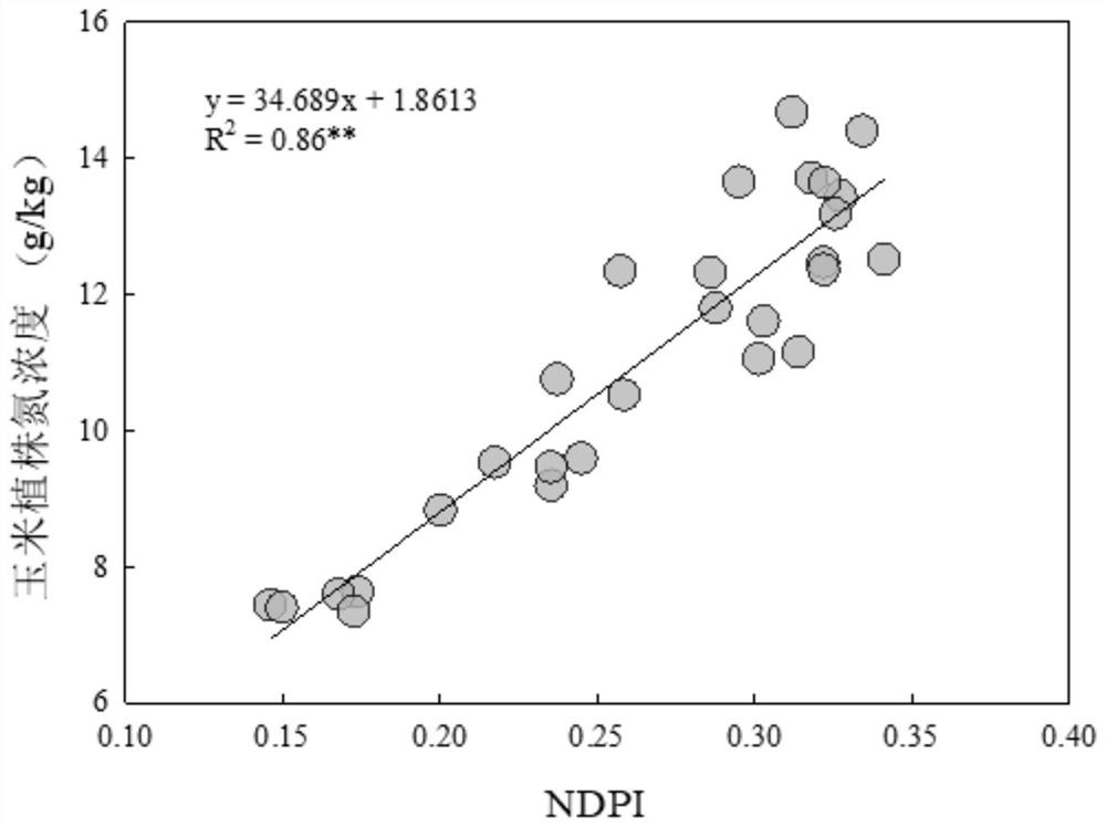 Corn growing season nitrogen fertilizer application method based on optimized spectral index