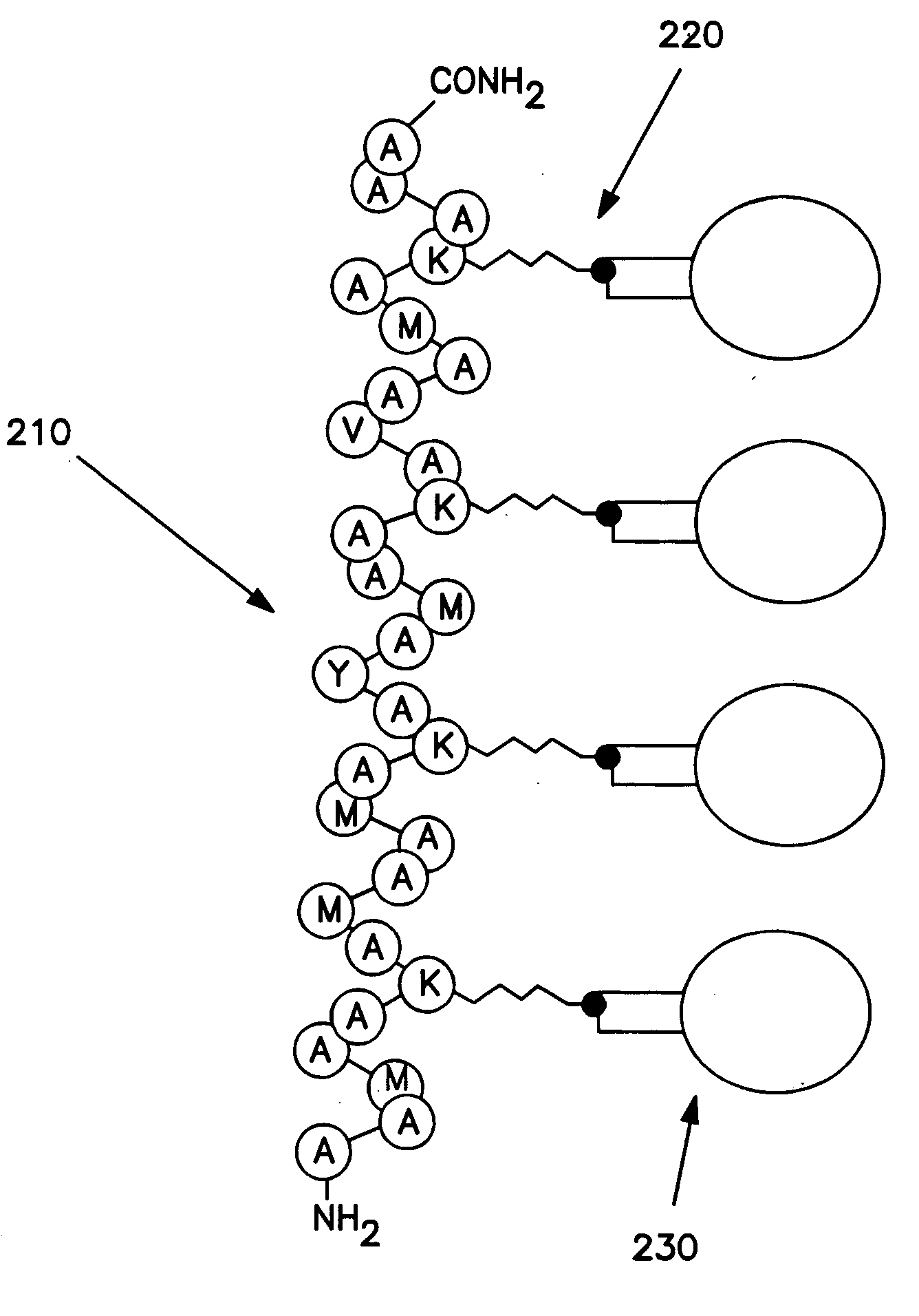 Methods of producing carbon nanotubes using peptide or nucleic acid micropatterning