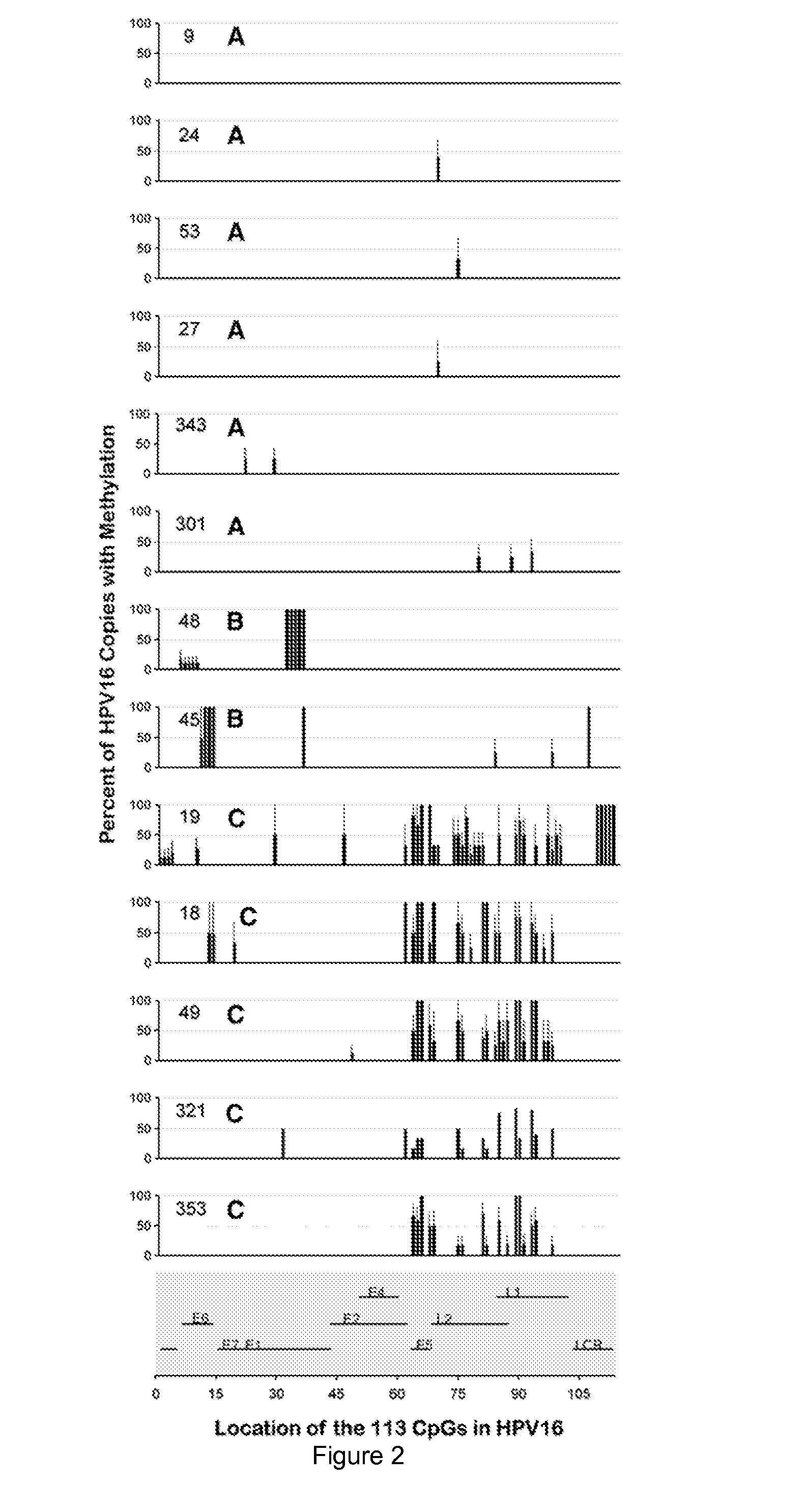 HPV DNA Methylation Patterns of Diagnostic or Prognostic Significance in Cervical Cancer Screening