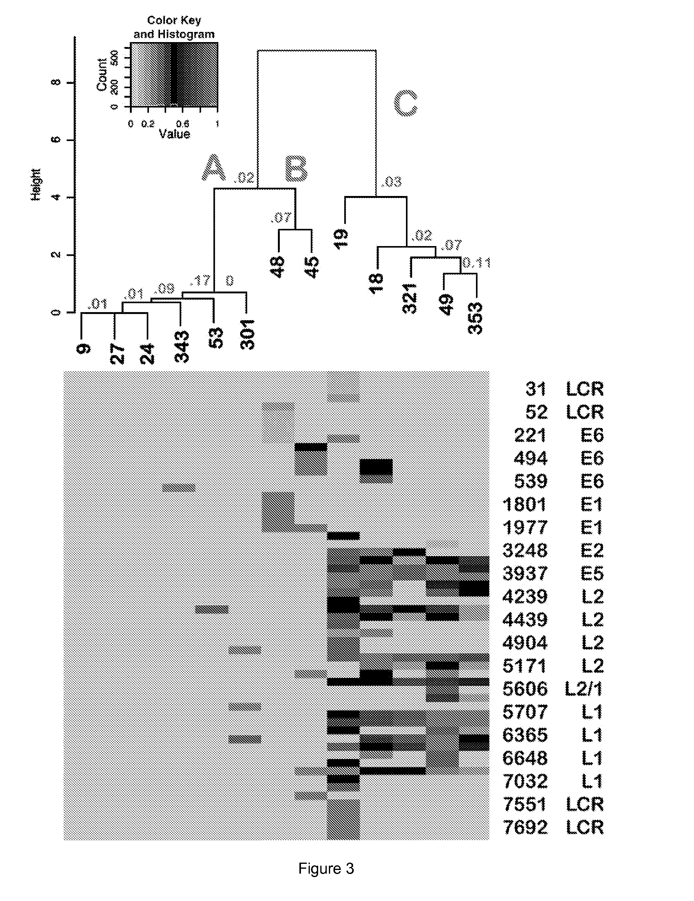 HPV DNA Methylation Patterns of Diagnostic or Prognostic Significance in Cervical Cancer Screening