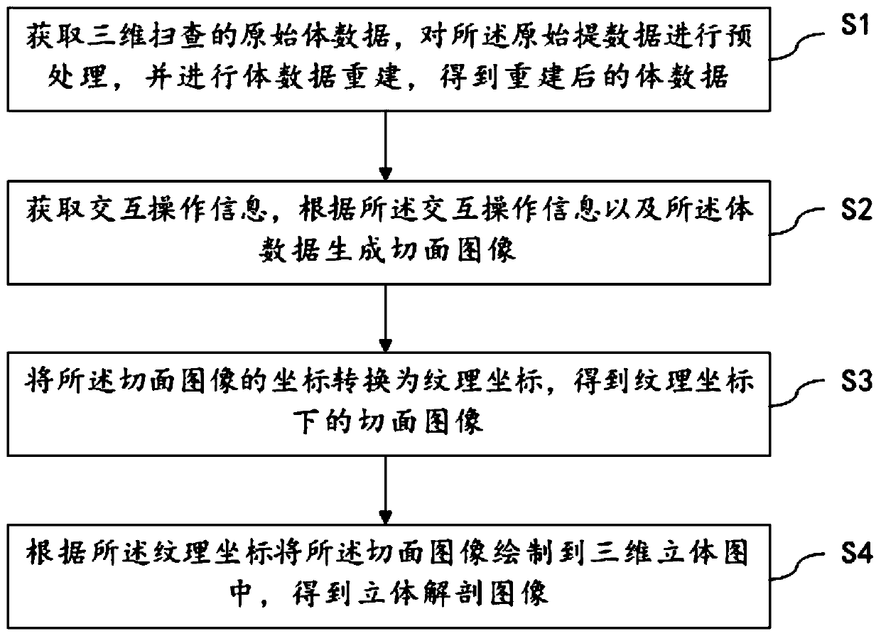 Three-dimensional ultrasonic stereoscopic anatomical map generation method and device