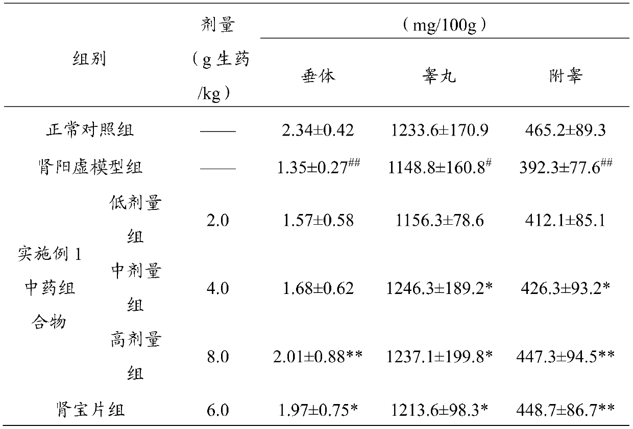 Novel application of traditional Chinese medicine composition to preparing kidney-Yang deficiency treating and preventing drugs