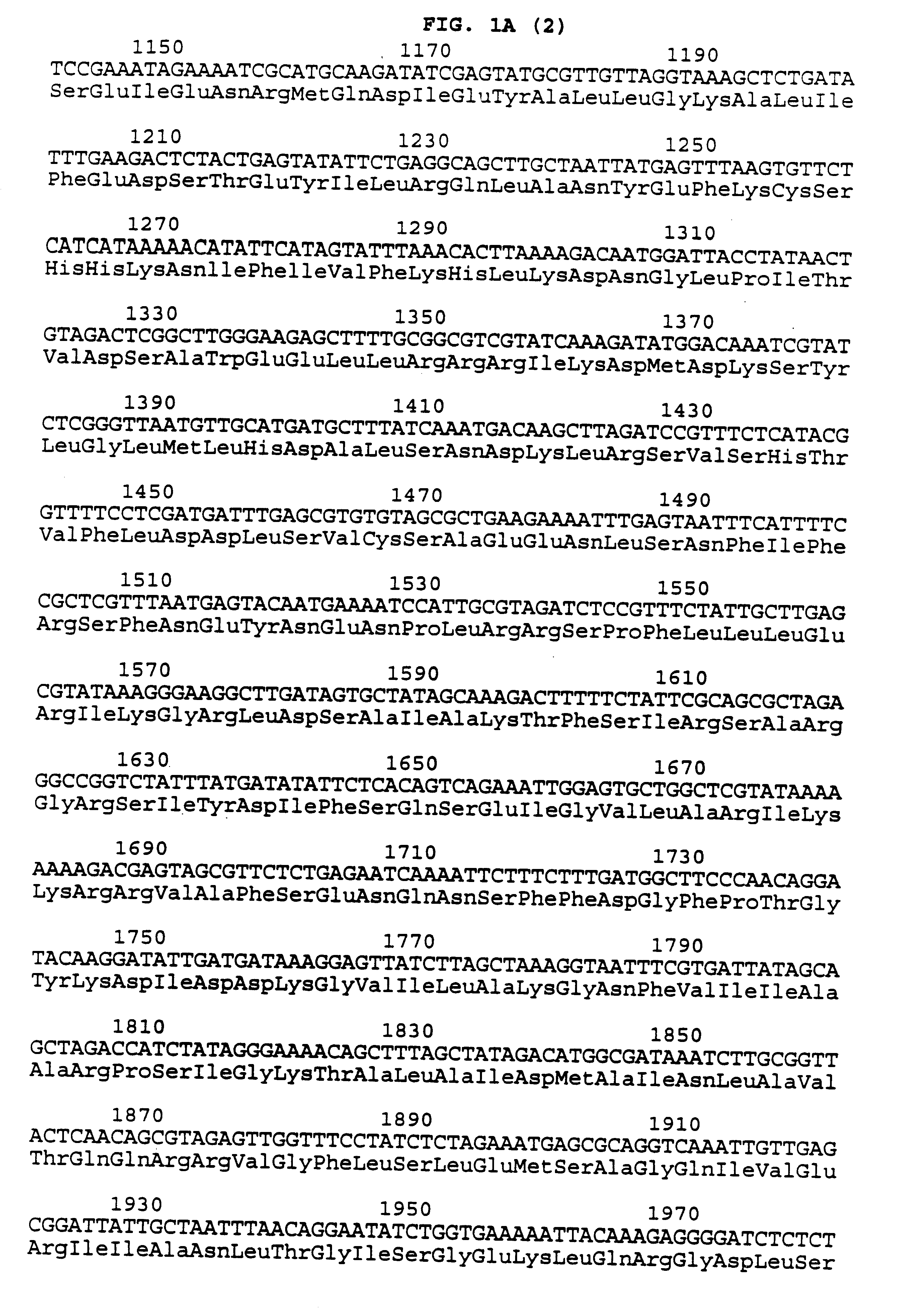 Chlamydia trachomatis serotype D genes