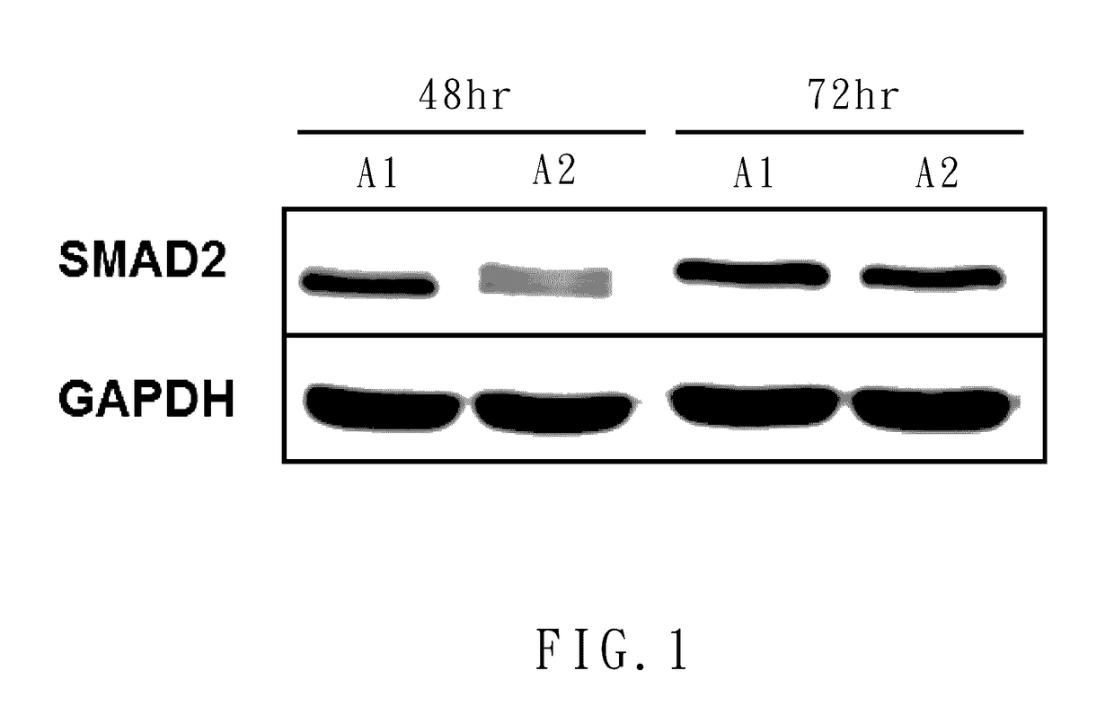 Method of therapy and diagnosis of endothelial dysfunction