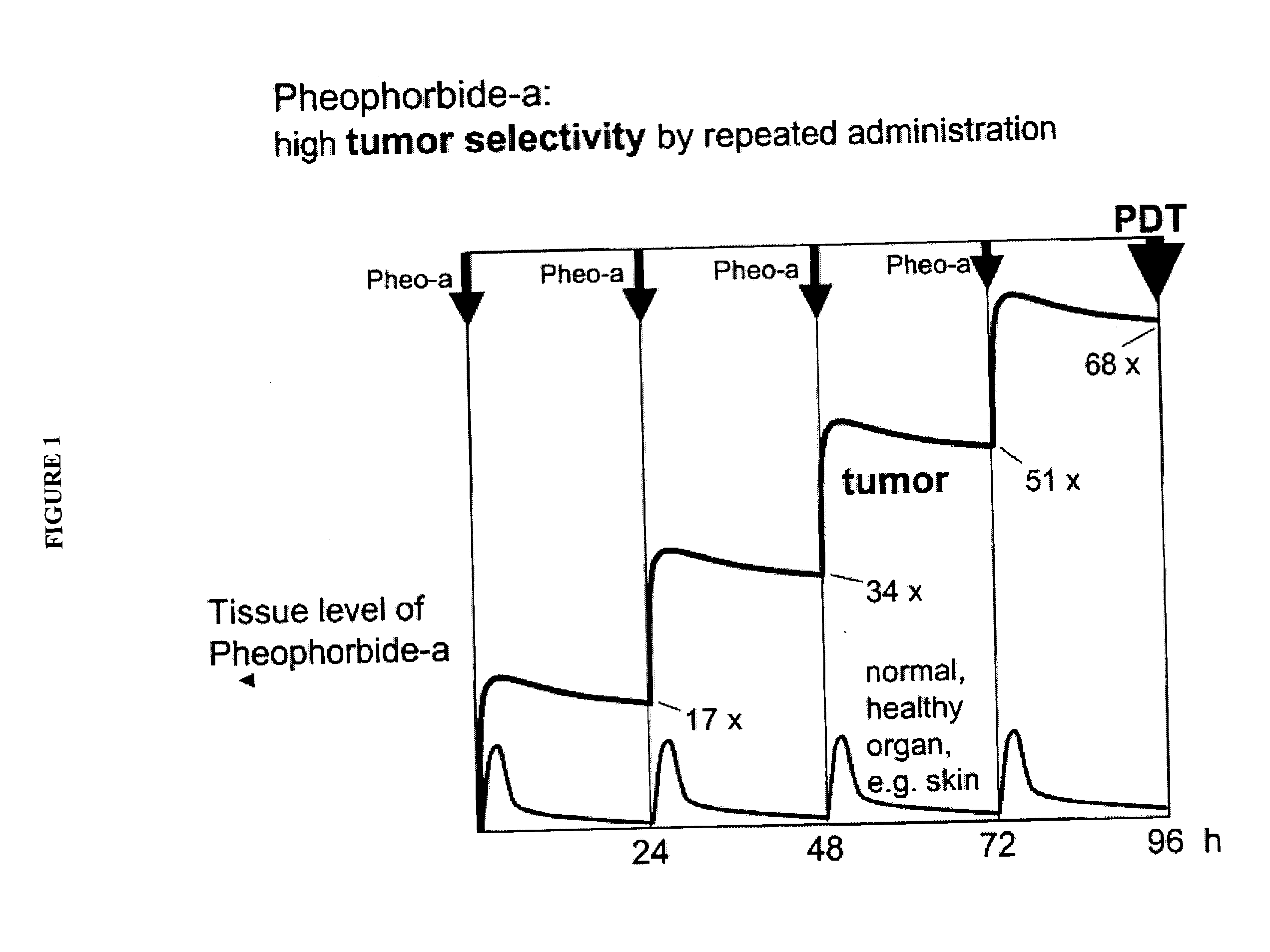 Efficacy and safety of photodynamic therapy by multiple application protocols with photosensitizers that show extended tumor retention