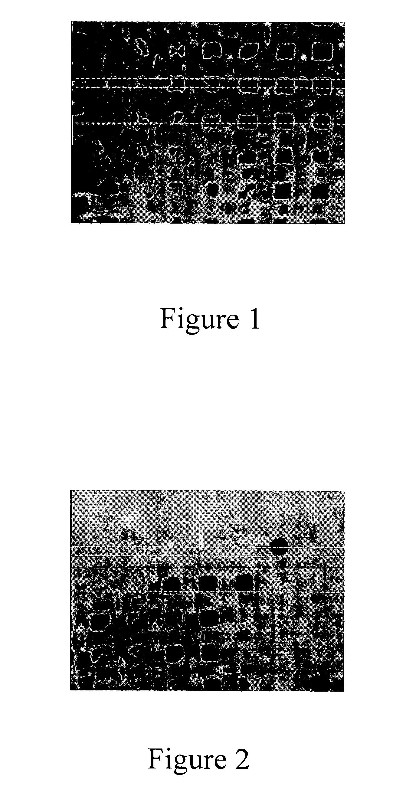 Transdermal delivery system for dried particulate or lyophilized peptides and polypeptides