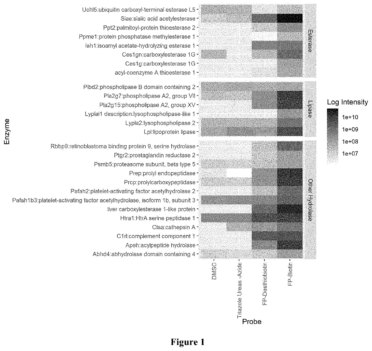 Serine hydrolase profiling assay in biotherapeutics