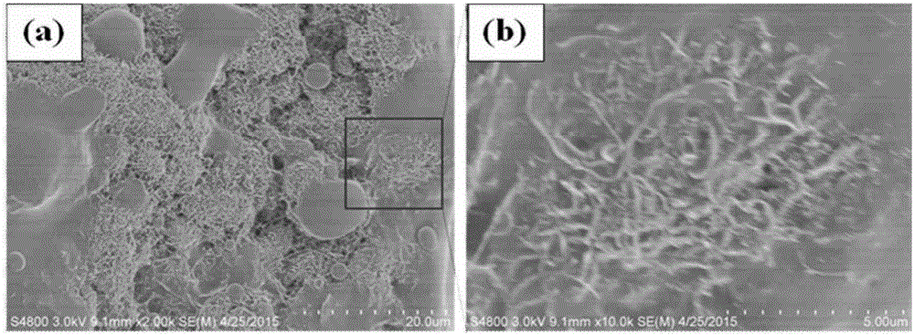 Preparation method of CNT (carbon nanotube) microspheres