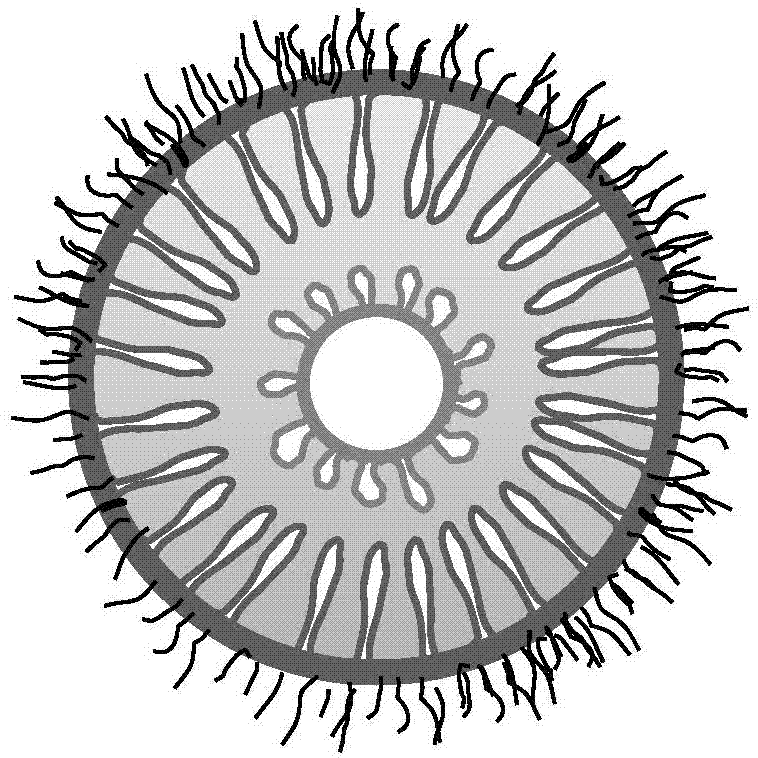 Method for growing carbon nano fibers on ceramic hollow microsphere surface in situ