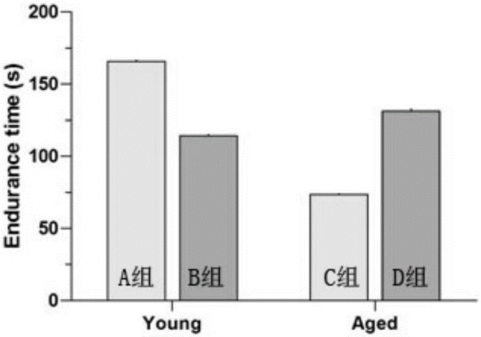 Effect of olive polyphenol on improving deterioration of aging-related movement function
