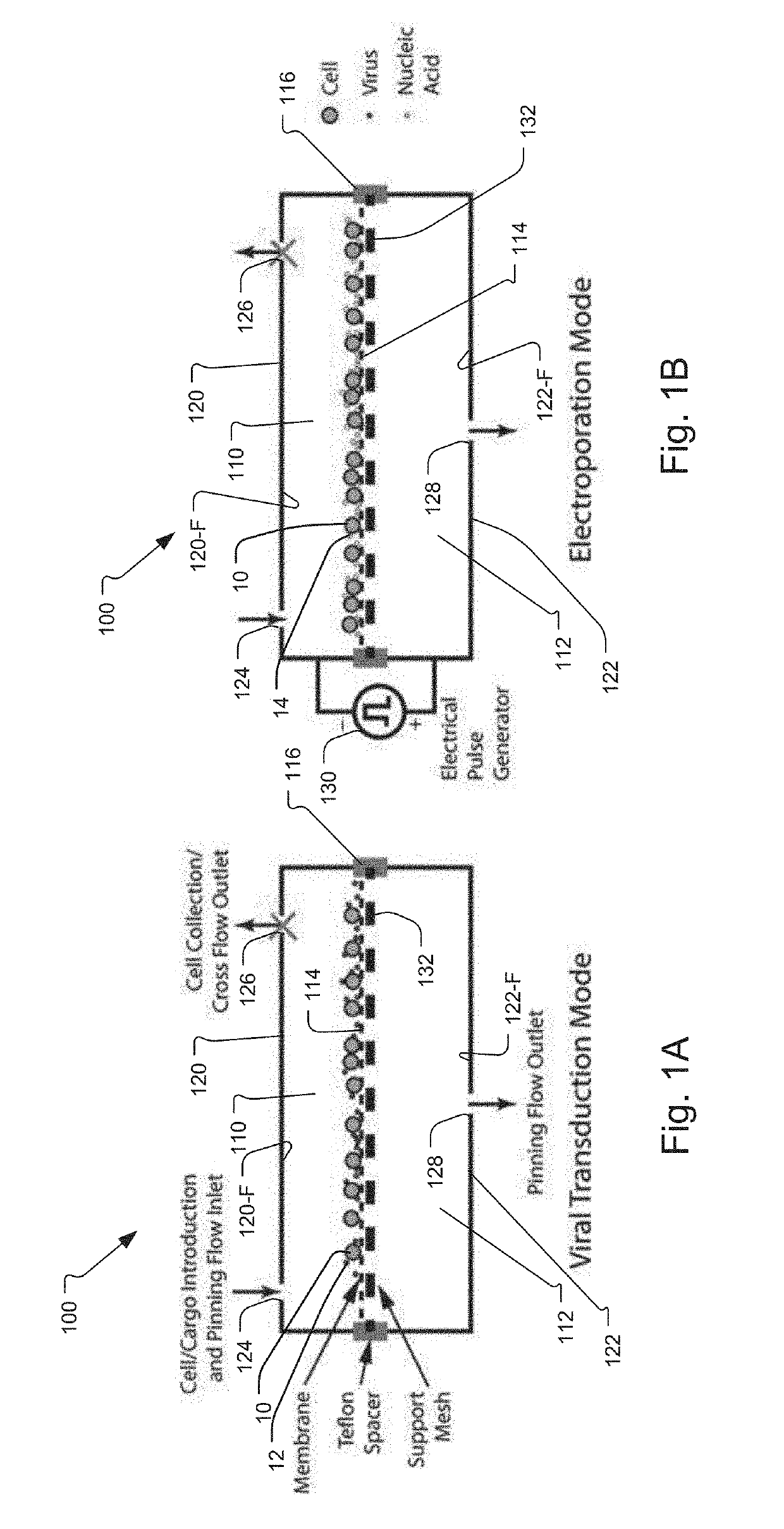 Dual-Purpose Viral Transduction and Electroporation Device