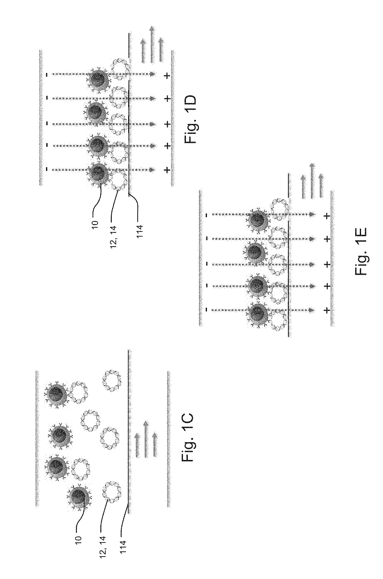 Dual-Purpose Viral Transduction and Electroporation Device