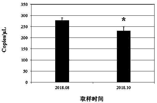 Primers and probe for digital PCR detection of expression quantity of metallothionein (MT)1 in argopecten irradians