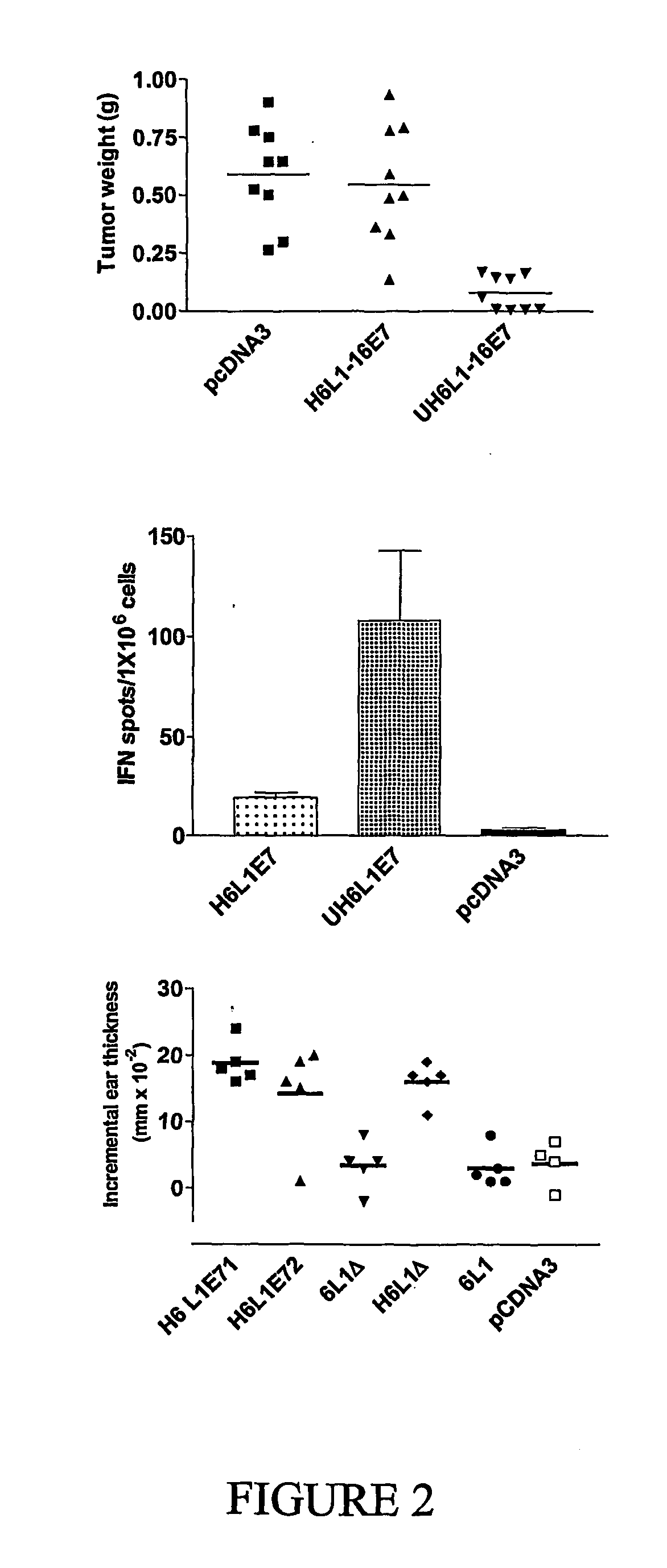 Novel compositions and uses therefor