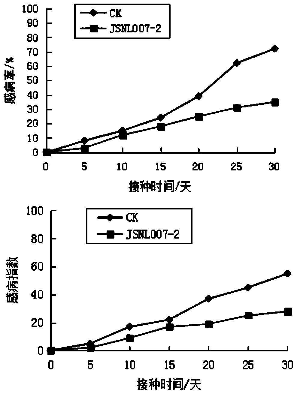 A strain of Fusarium solani and its application in the control of Dendrobium officinale