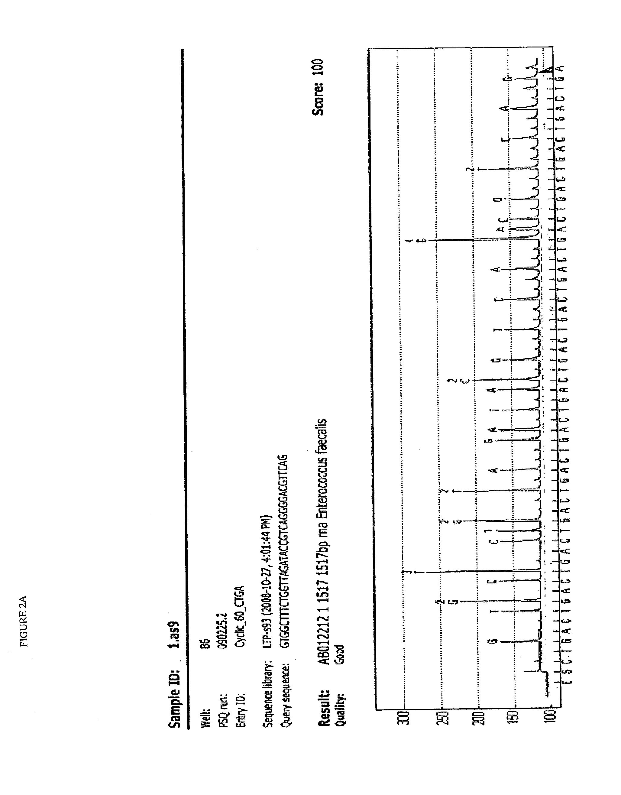 Composition, method and kit for detecting bacteria by means of sequencing