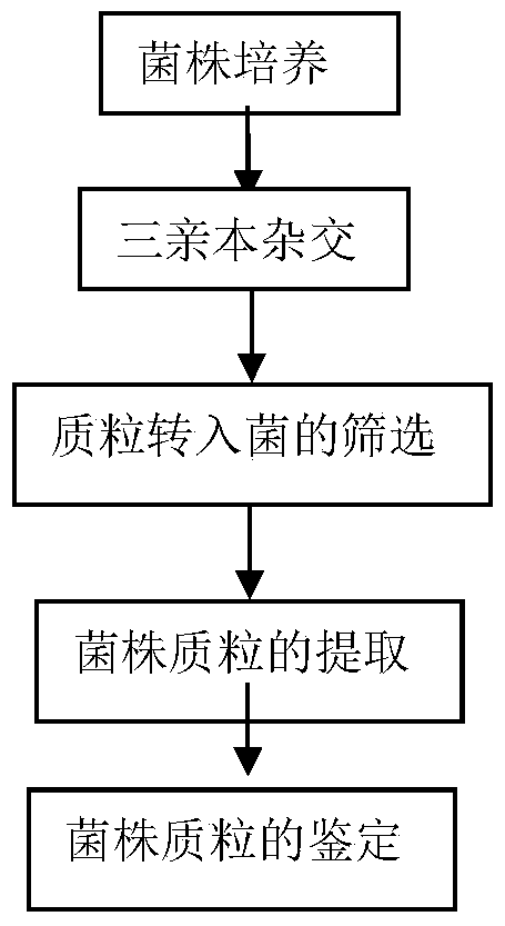 The transfer method of exogenous dna of Bacillus marine atrophaeus