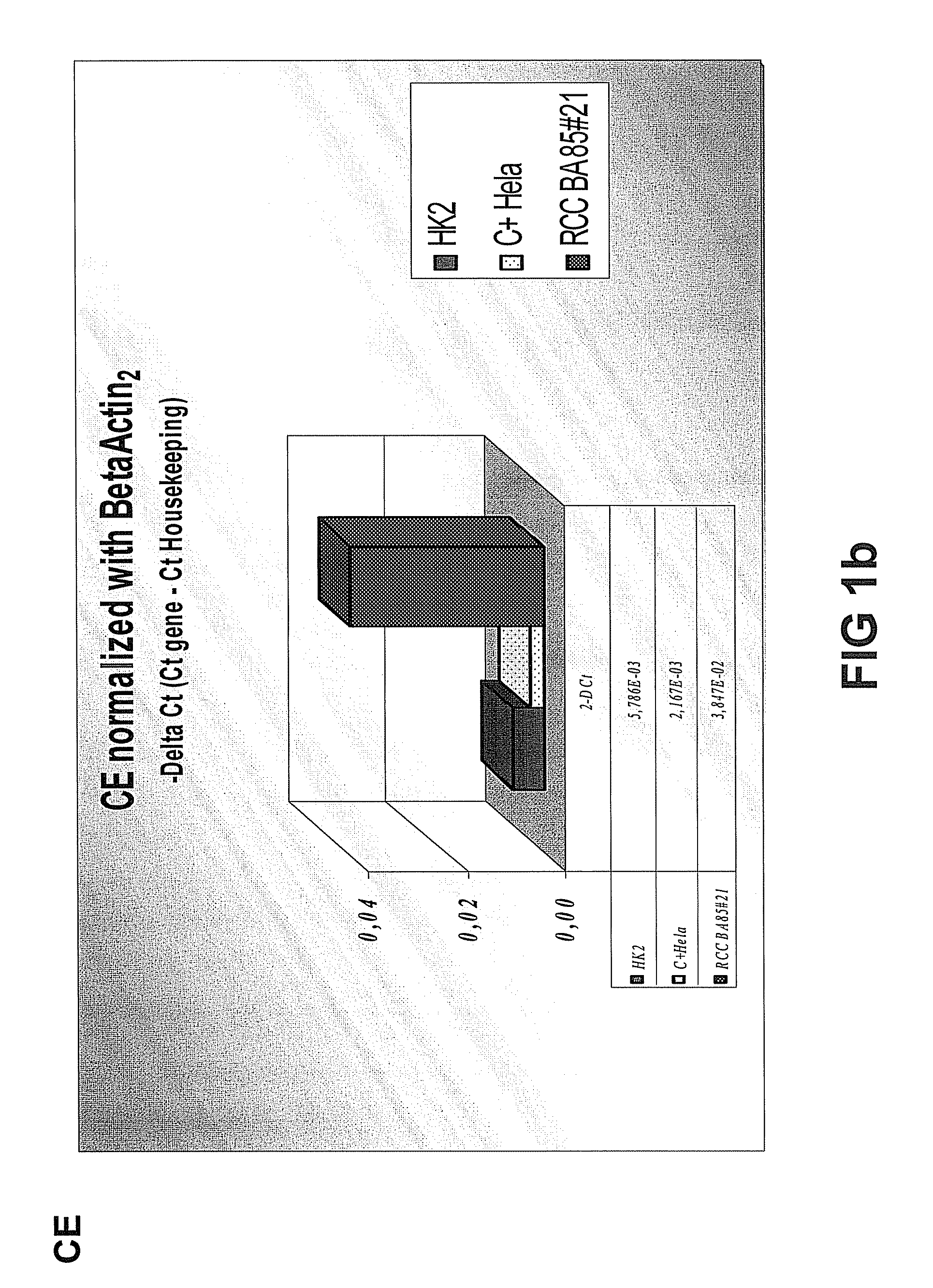 Renal Carcinoma Cell Line and Uses thereof